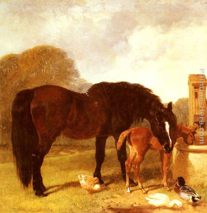 Horse Canvas Paintings page 5